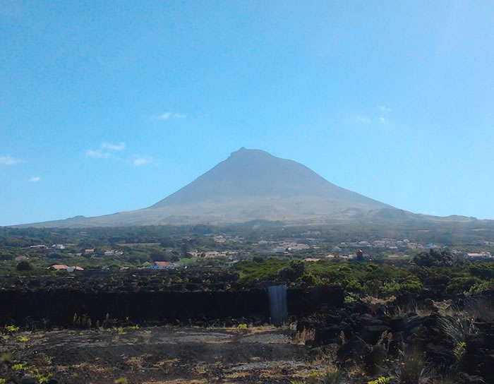 pico