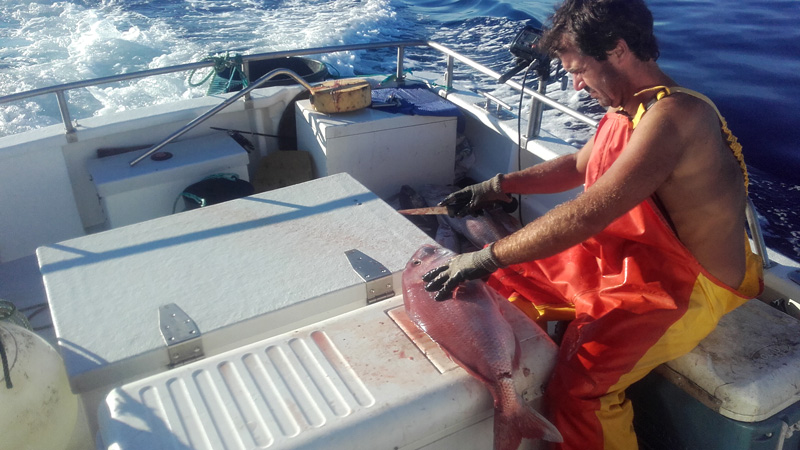 Técnicas de Pesca